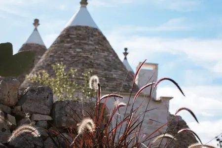 Trulli Petralux in Valle d'Itria, Maison de vacances Vallée d'Itria piscine - Photo 28