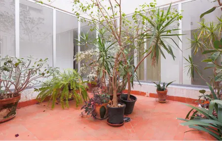 Appartement 6 personnes à Los Alcazares - Photo 5