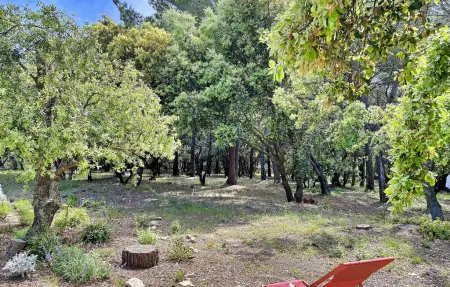 La Maison De Brigitte (Version, Maison 8 personnes à Isle Sur La Sorgue - Photo 11
