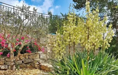 Le Mont Secret, Maison 4 personnes à Montbrison sur Léz - Photo 17