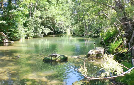 Le Moulin De Courlas, Maison 14 personnes à St Jean De Maruejols - Photo 19