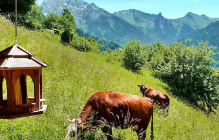 Les Neisieux, Maison 8 personnes à Manigod - Photo 33