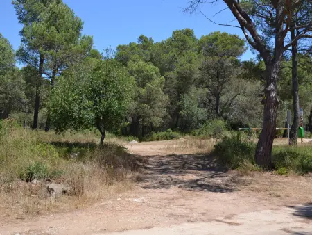 Maison Animaux Acceptés près d'une Forêt, Maison 4 personnes à L'Estartit - Photo 21