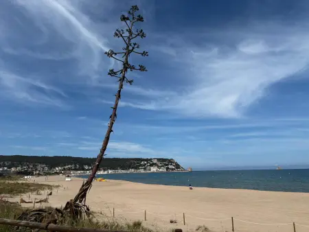 Appartement Calella 4: Près de la Mer, Animaux Bienvenus - Photo 26