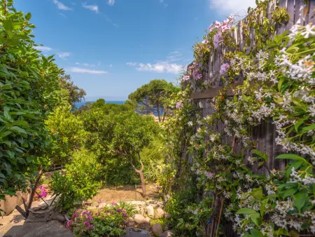 Ginepro, Appartement 4 personnes à Costa Paradiso - Photo 30