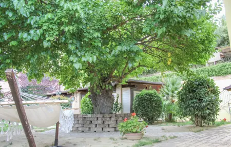 Maison 4 personnes à Montefiore dell'Aso - Photo 9