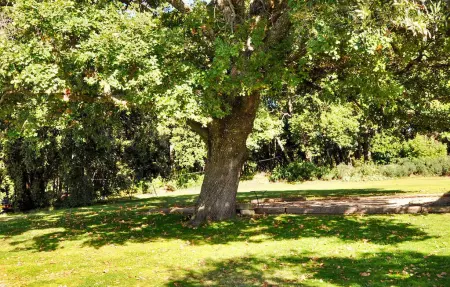Cendrons 4, Maison 4 personnes à Bedoin - Photo 14