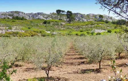 Le Cabanon, Maison 4 personnes à Maussane les Alpilles - Photo 14