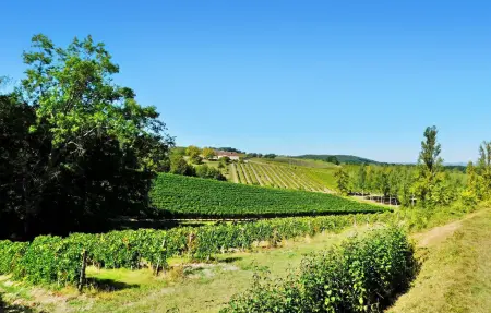 Maison En Perigord Pourpre, Maison 4 personnes à Cuneges - Photo 24