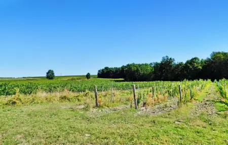 Maison En Perigord Pourpre, Maison 4 personnes à Cuneges - Photo 25