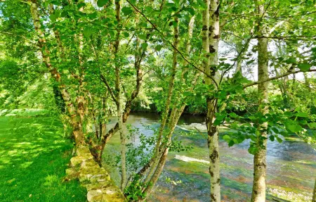Le Moulin De Lombraud, Maison 10 personnes à Brantome En Perigord - Photo 10