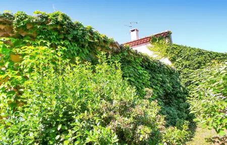 La Vigne, Maison 10 personnes à Arles - Photo 12