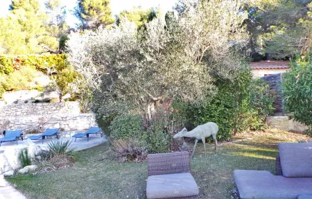 Mas Anastasia, Maison 12 personnes à Les Baux De Provence - Photo 7