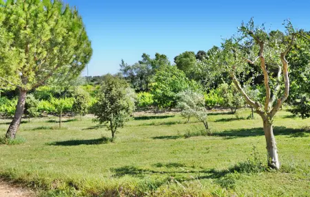Gite Les Oliviers, Maison 4 personnes à St Roman De Malegarde - Photo 8
