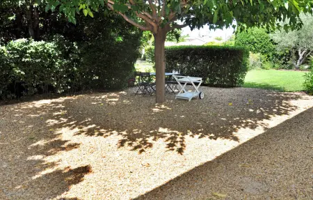 Le Mazet D'Estelan Et Son Anne, Maison 10 personnes à Barbentane - Photo 13