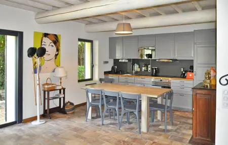 Le Mazet D'Estelan Et Son Anne, Maison 10 personnes à Barbentane - Photo 21