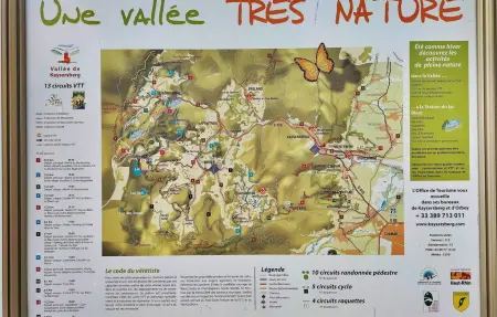 Chevalier De Malte 4P, Appartement 4 personnes à AMMERSCHWIHR - Photo 19
