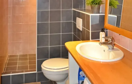 Gîte Le Jas Vieux, Maison 5 personnes à Saint Roman De Malegar - Photo 17