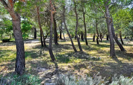La Villa Des Cedres, Maison 10 personnes à Cabrieres D Avignon - Photo 20