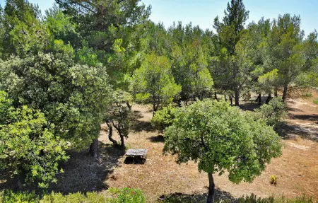 La Villa Des Cedres, Maison 10 personnes à Cabrieres D Avignon - Photo 25