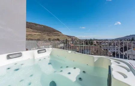 Penthouse Guebwiller, Maison 5 personnes à Guebwiller - Photo 12