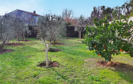 Le Mas De Lucie, Maison 6 personnes à Saint Martin De Crau - Photo 18