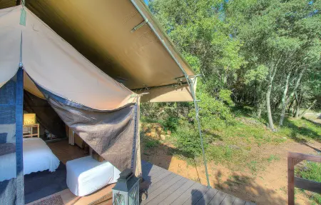 Luxury Tent  Figuier, Maison 4 personnes à Goudargues - Photo 11