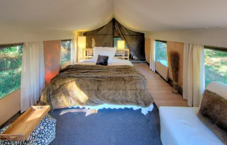 Luxury Tent  Figuier, Maison 4 personnes à Goudargues - Photo 14