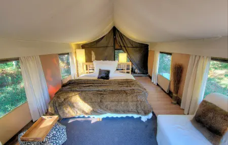 Luxury Tent  Olivier, Maison 4 personnes à Goudargues - Photo 14