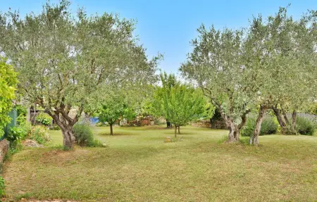 La Villa Des Fleurs, Maison 8 personnes à Cavillargues - Photo 11