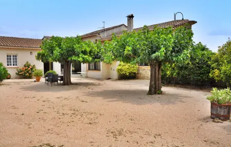 La Villa Des Fleurs, Maison 8 personnes à Cavillargues - Photo 12