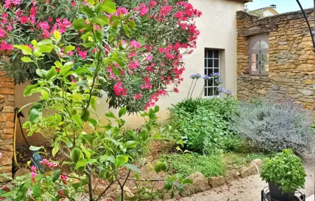 La Villa Des Fleurs, Maison 8 personnes à Cavillargues - Photo 18