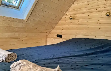 Projet Z Entier, Maison 8 personnes à Abreschviller - Photo 12