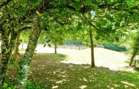 Le Vignal, Maison 9 personnes à St Georges De Montclar - Photo 8