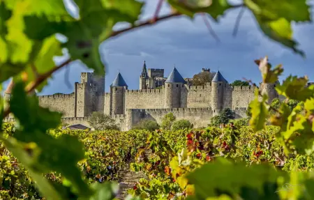 Domaine De Cantalauze, Maison 18 personnes à Trèbes - Photo 45