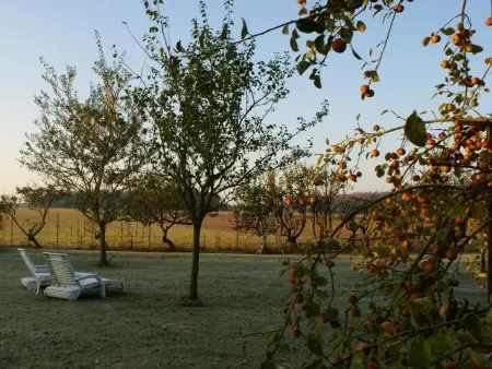 Gîte rénové au calme avec jardin clos à Boissets - Photo 5