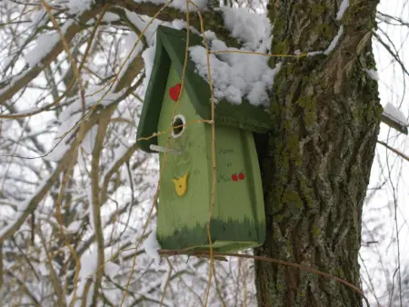 Gîte rénové au calme avec jardin clos à Boissets - Photo 29