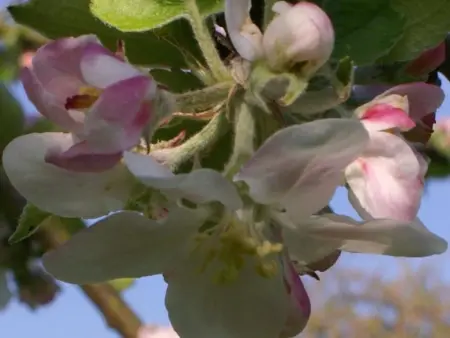 Gîte rénové au calme avec jardin clos à Boissets - Photo 31