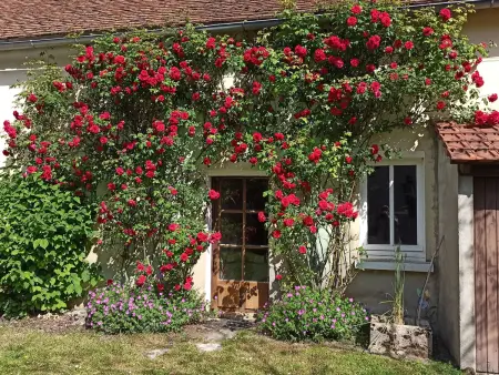 Maison familiale rénovée avec cour, à 1h30 de Paris, proche de la nature et des sites historiques. - Photo 28
