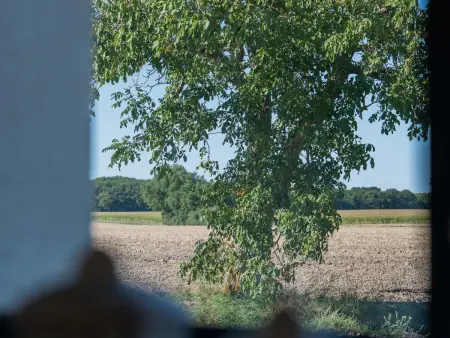 Gîte spacieux et rénové avec jardin, proche châteaux de la Loire, pour 10 pers. - Photo 12