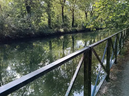 Gîte spacieux à 1h de Paris avec jardin et parking, proche Montargis et activités variées - Photo 33