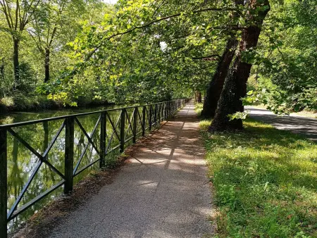 Gîte spacieux à 1h de Paris avec jardin et parking, proche Montargis et activités variées - Photo 34