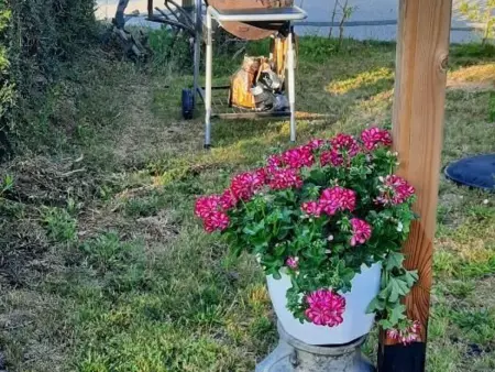 Gîte familial en Sologne près de la Loire, parfait pour cyclistes et accueil chevaux, tout compris - Photo 22