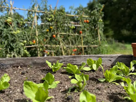 Évasion en Sologne : Gîte PMR, Billard, Tennis & Nature Proche Châteaux de la Loire - Photo 28