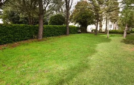 Maison 10 personnes à Entraigues sur la Sorg - Photo 13