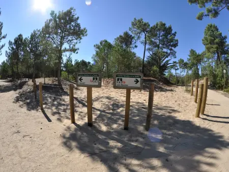 Maison de vacances avec piscine, terrasse et coin détente en forêt, proche plage! - Photo 23
