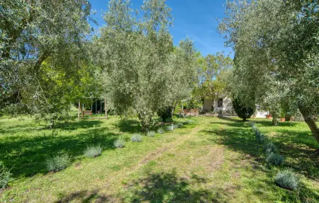Maison 4 personnes à Ischia di Castro - Photo 10