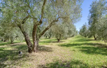 Maison 4 personnes à Ischia di Castro - Photo 29
