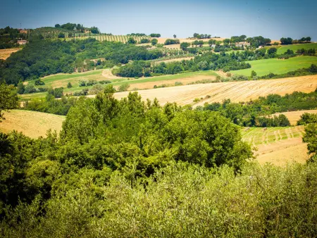 Tra Cielo e Terra, Gite 8 personnes à Todi - Photo 27