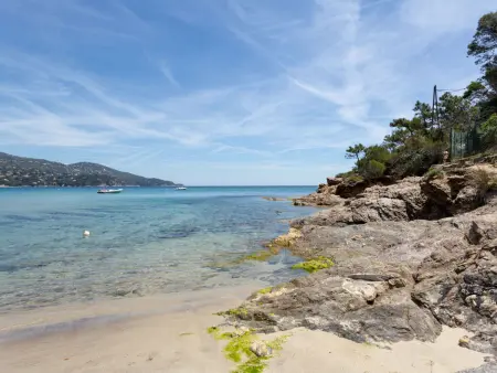 Cap Nègre : Domaine de la Pinède, Appartement 6 personnes à Le Lavandou - Photo 20